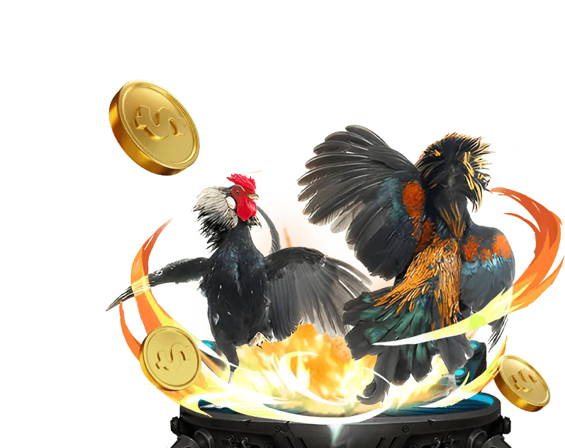 Hình ảnh minh họa cờ bạc có trách nhiệm, hỗ trợ người chơi tại nền tảng đá gà trực tiếp Thomo