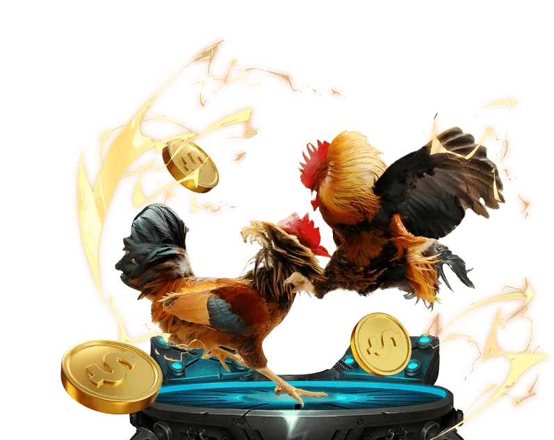 Minh bạch kết quả đá gà Thomo